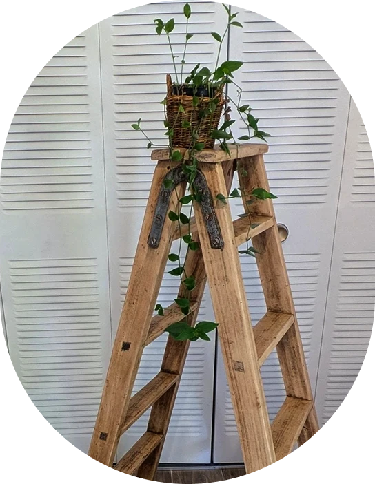 Escabeau vintage en bois avec plante verte en panier tressé – décoration naturelle et créative signée K Déco Relooking à Bruguières